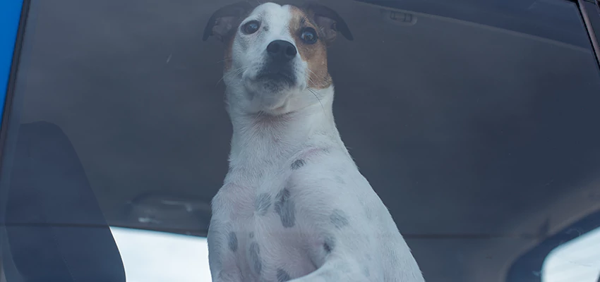 Car Lockout Solutions in Downey, California